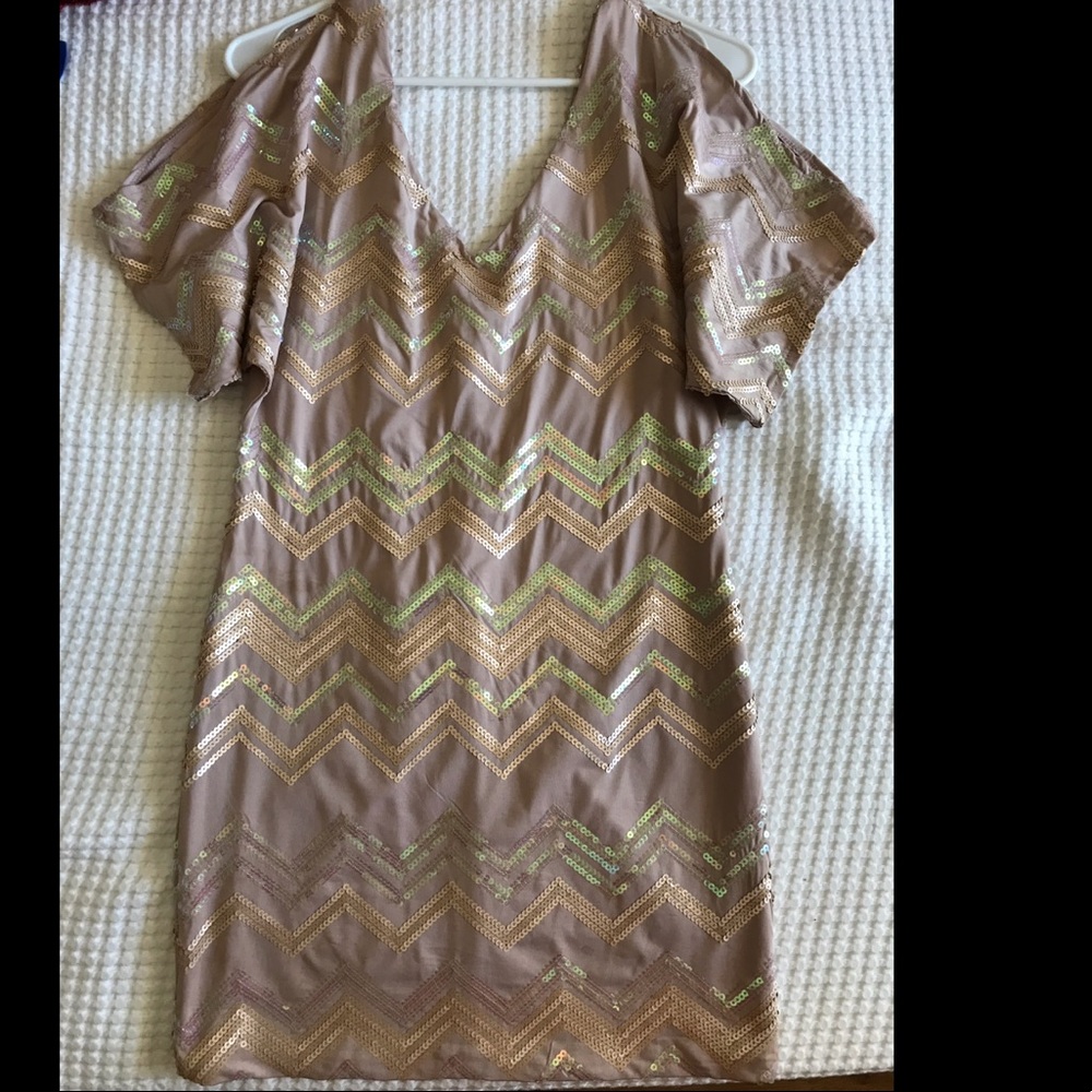 Arden B Dress